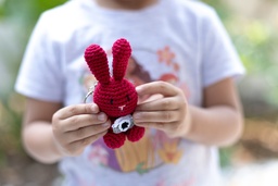[Tienda A19 (70)] Luca the Crochet Bunny Keychain — with Camera
